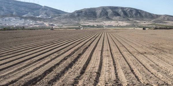 Estudio Edafológicos para la agricultura